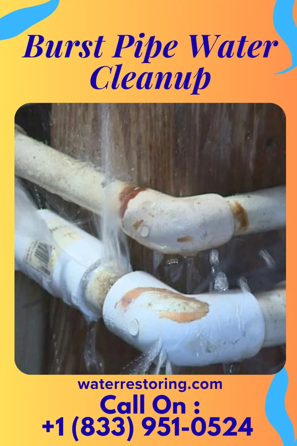 Burst Pipe Water Cleanup in Gum Springs, AR